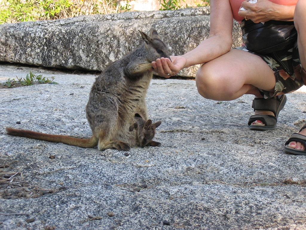 CairnsTC128 Granite Gorge.jpg